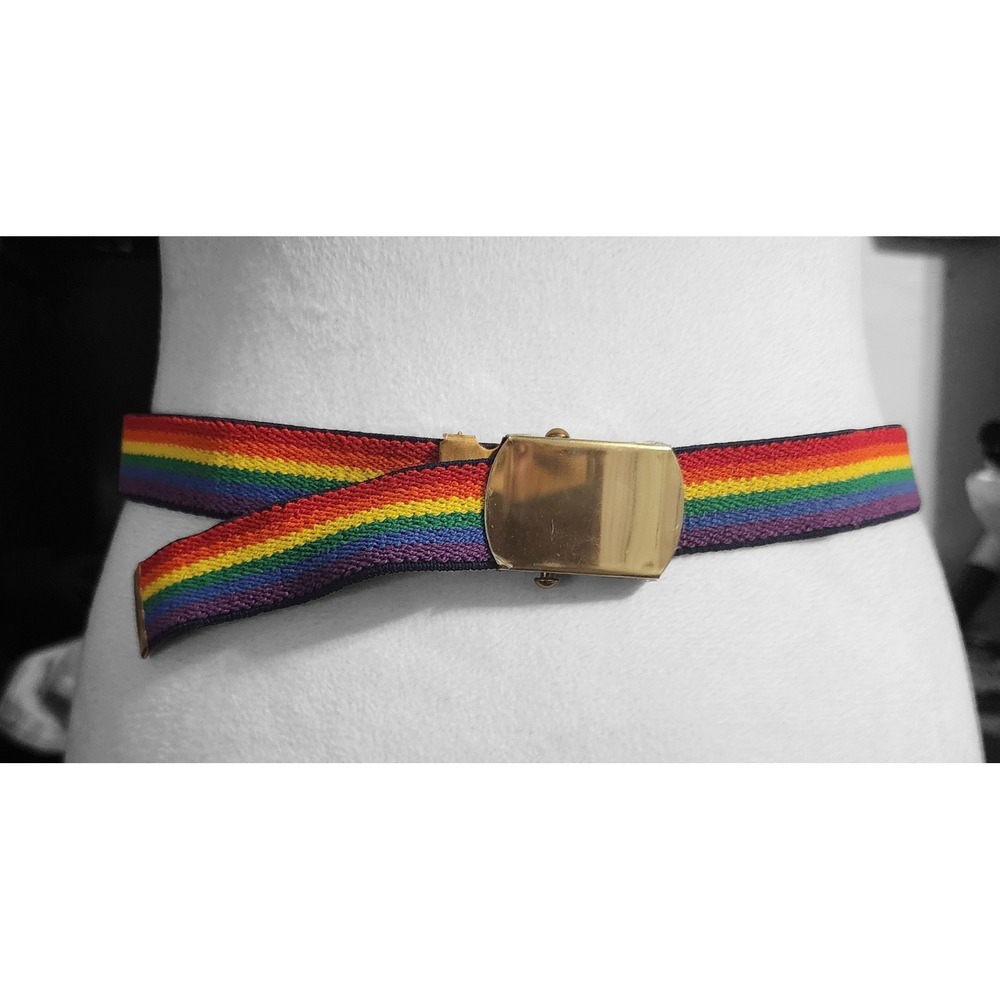 Vintage Rainbow Striped Belt Gold Military Slider Buckle Pride Unisex